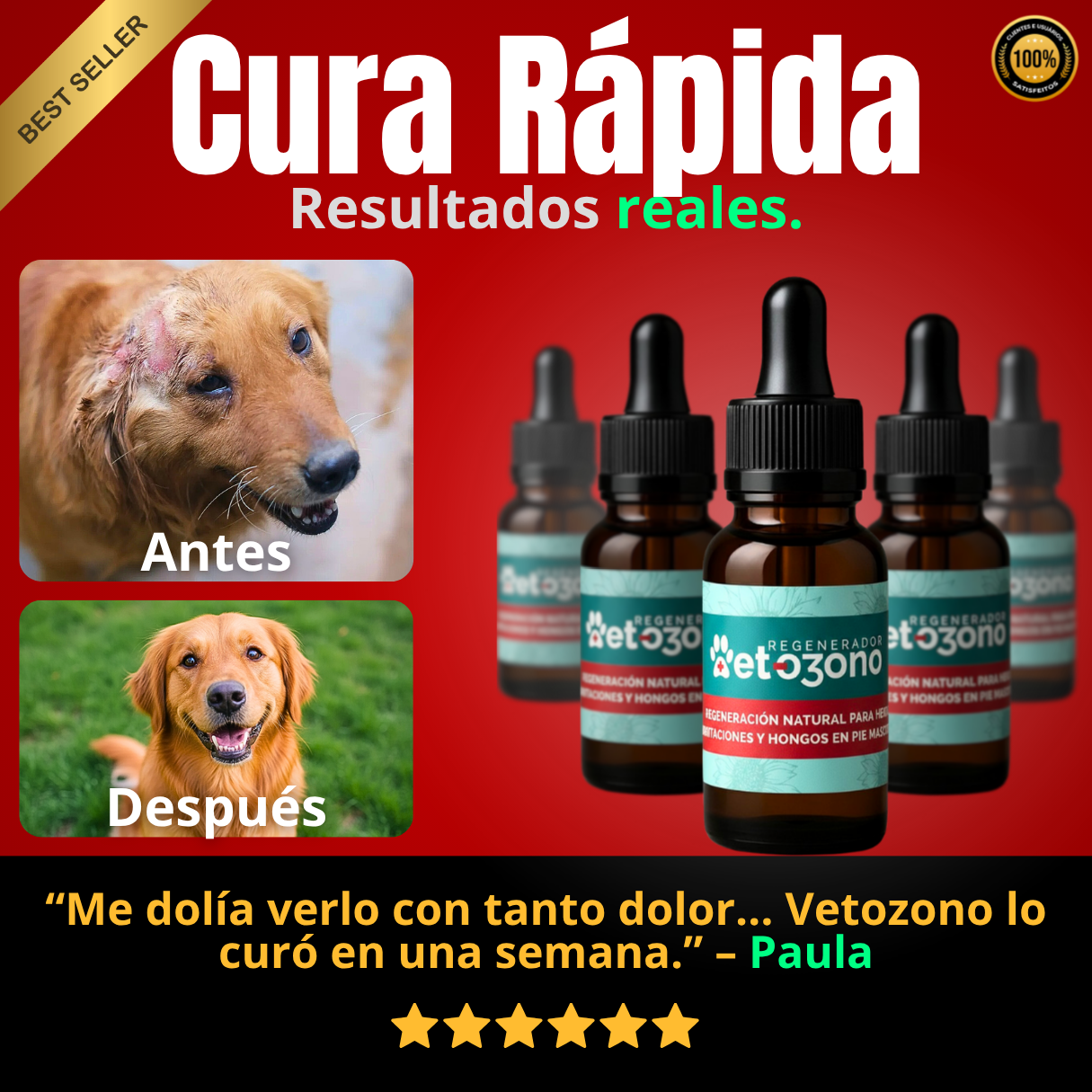 Regeneración natural para Mascotas - VetOzono